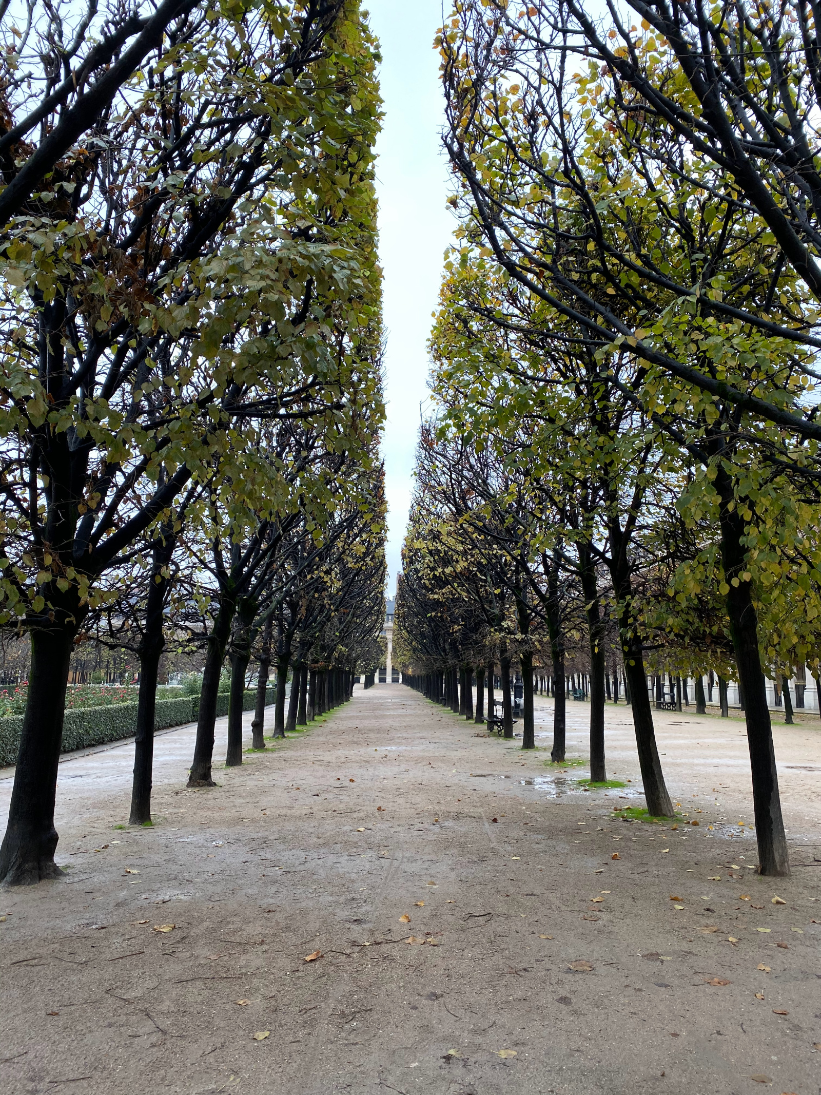 Paris in the Off Season